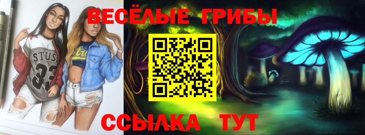 Псилоцибиновые грибы мухоморы Артёмовский
