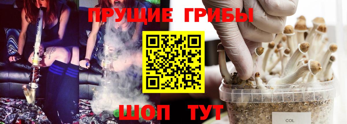 Артёмовский  Галлюциногенные грибы Cubensis  Вход с VPN  Псилоцибиновые грибы Magic Shrooms 